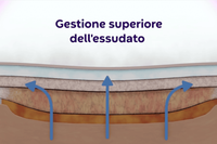 ConvaFoam™: medicazioni in schiuma multistrato per una gestione avanzata delle ferite