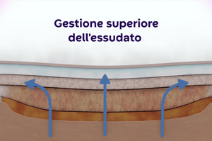 ConvaFoam™: medicazioni in schiuma multistrato per una gestione avanzata delle ferite