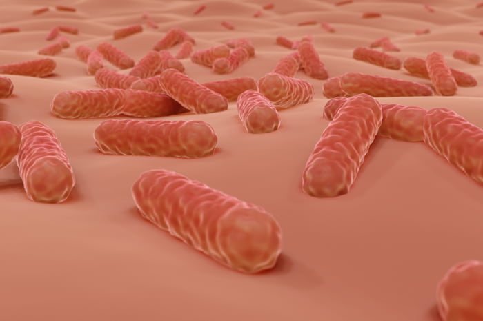 Meccanismo d’azione dei probiotici su microbiota della pelle