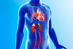 Sindrome cardionefrometabolica