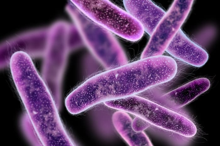 infezioni nosocomiali