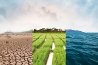 Cambiamento climatico e salute: la crisi invisibile che ci sta già colpendo 