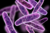 Infezioni nosocomiali: nuove linee guida Oms