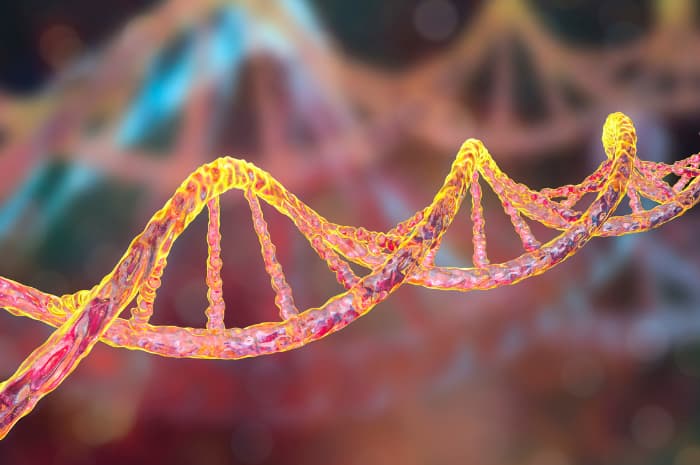 Organi e invecchiamento: nuova mappa epigenetica