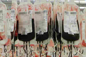 Trasfusione di sangue errata, la posizione dell'infermiere
