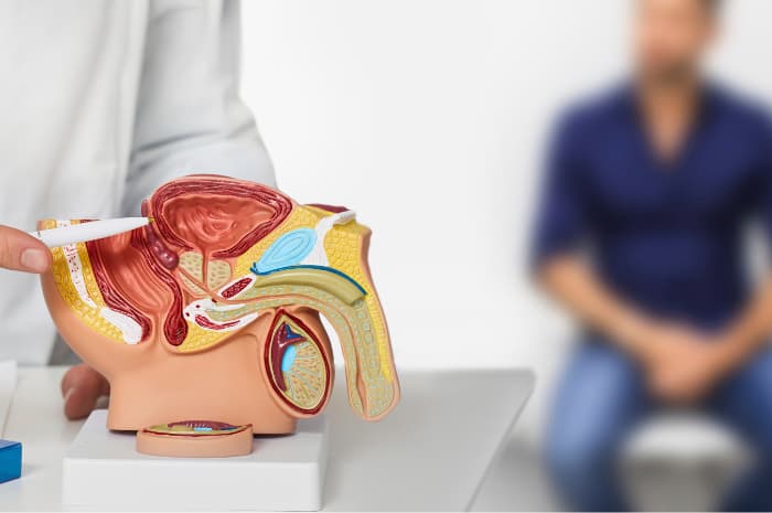 visita urologica