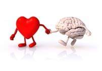 Scoprire il cervello del cuore e la sua intelligenza. 