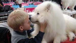 Pet therapy: i medici piemontesi garantiscono la prescrizione