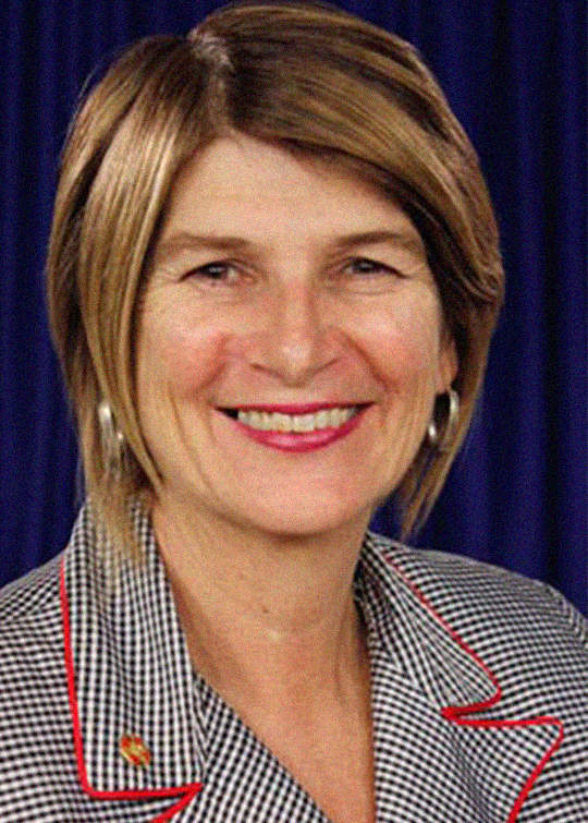 Consiglio Internazionale degli Infermieri: Frances Hughes nuova responsabile dell'Esecutivo